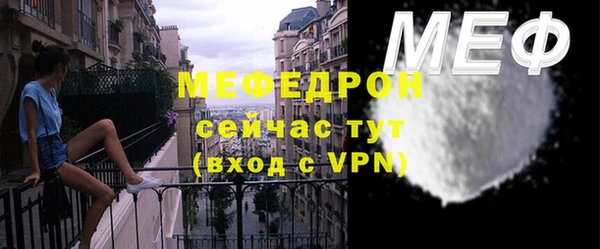 молекула духа Богородицк