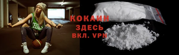 молекула духа Богородицк