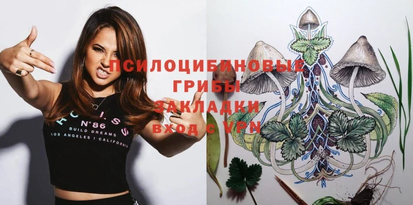 молекула духа Богородицк