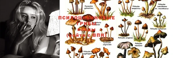 метамфетамин Богданович