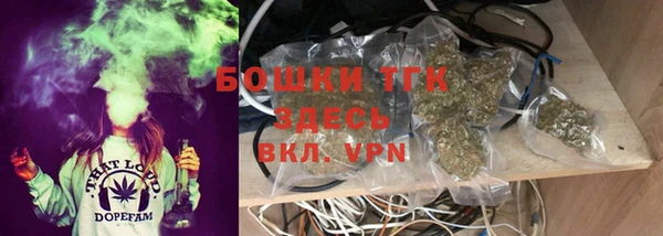 PSILOCYBIN Волосово