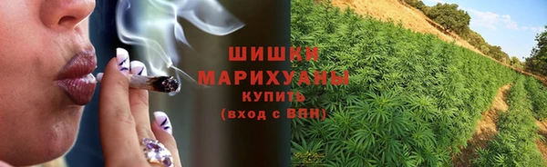 молекула духа Богородицк