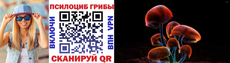 цены   Гудермес  Псилоцибиновые грибы мицелий 