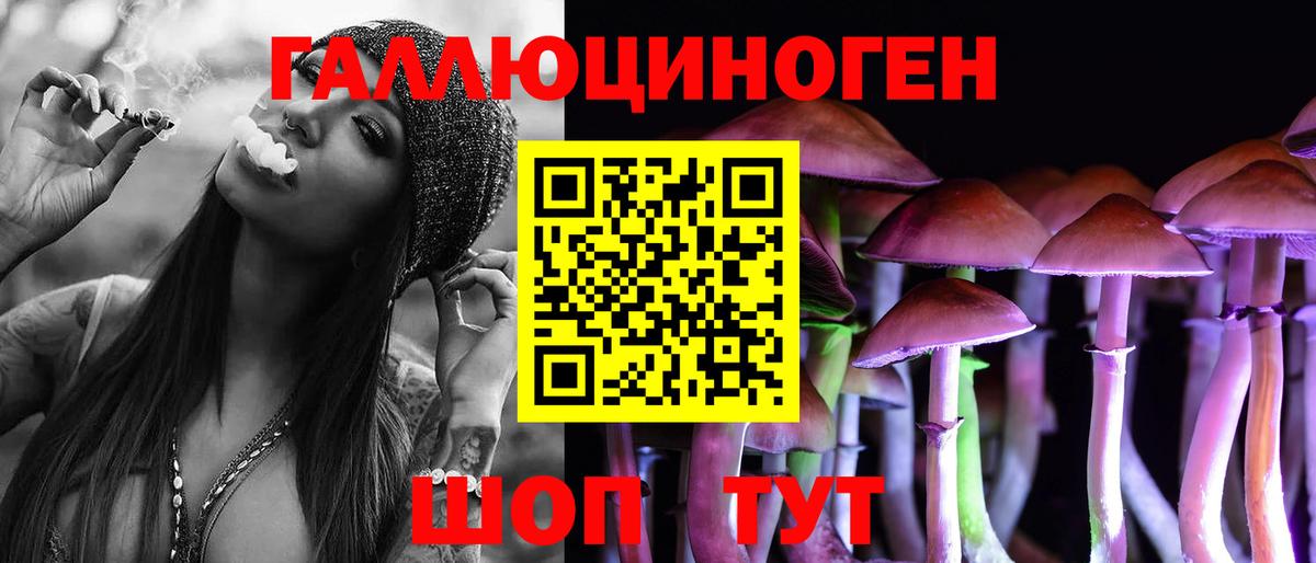 Галлюциногенные грибы MAGIC MUSHROOMS  Вход с VPN  Галлюциногенные грибы Magic Shrooms  Гудермес 