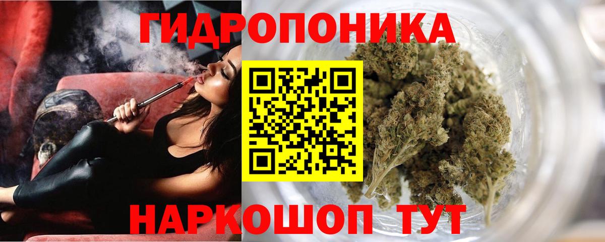 Конопля семена Гудермес